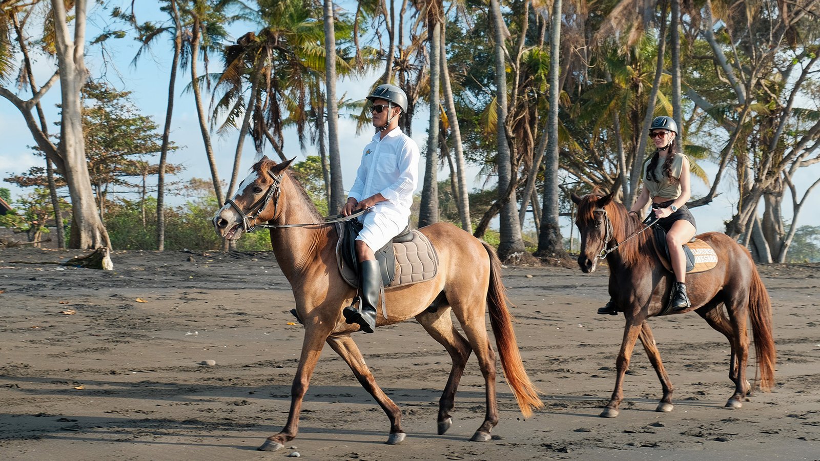 Horse Riding At Saba Beach